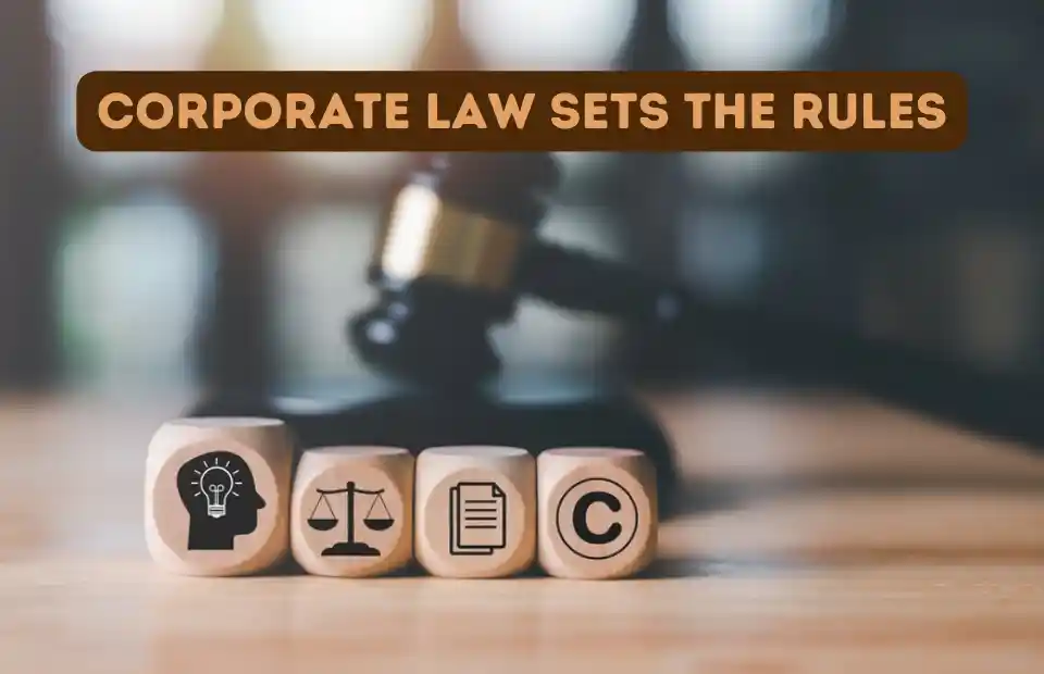 Corporate law sets the rules for issuing CCDs | What Are Compulsory Convertible Debentures (CCDs) And Their key Features