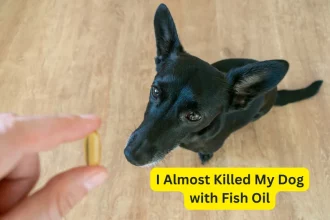 I Almost Killed My Dog with Fish Oil: A Cautionary Tale